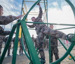 南宫28-关于Scout连续七场比赛得分超过大胜，日本队挑战极限！的信息