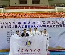 南宫28-关于柔道夜战:蓬莱银狐队强势反弹荆楚猎隼队,主帅临场妙招客场静默反击的信息